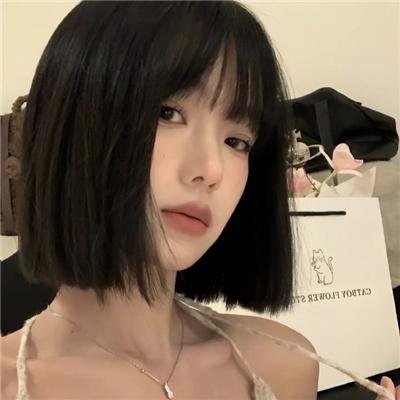 燕子盗